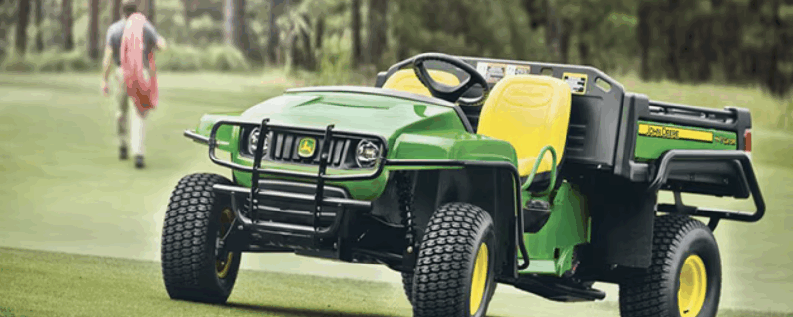 Gator on a golf course
